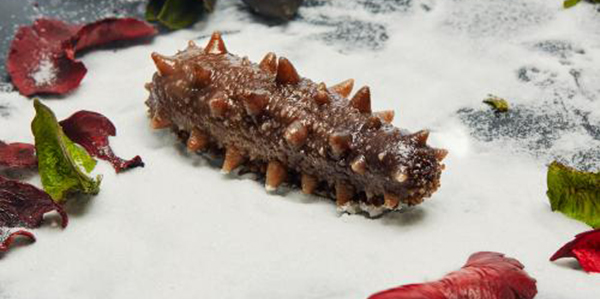 怎樣快速的區(qū)分淡干海參、鹽干海參和凍干海參？