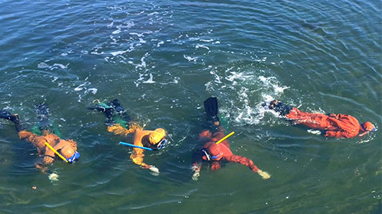 達(dá)蓮海參告訴你怎樣吃海參最有營養(yǎng)